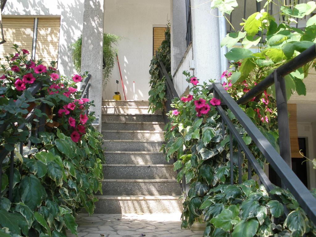 פורץ Apartments Timi מראה חיצוני תמונה